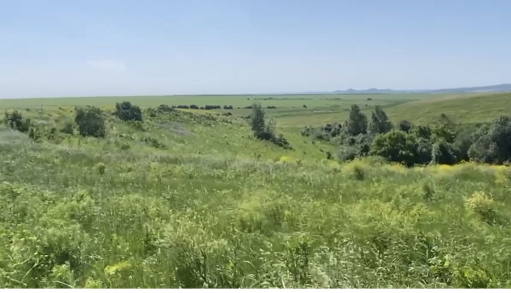 Продам земельный участок