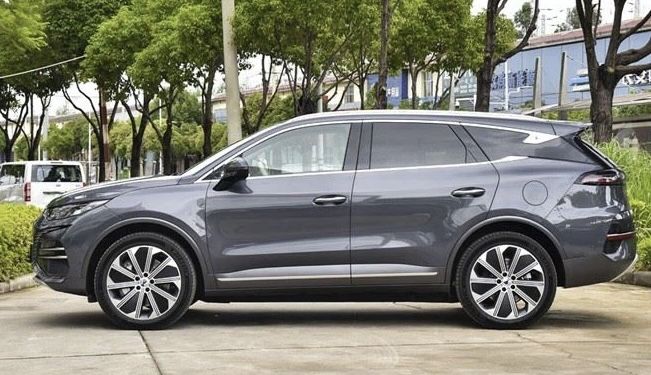 Denza N8 под заказ от Terra Auto