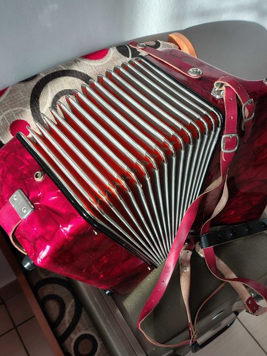 Acordeon 48 basi Hohner Junior