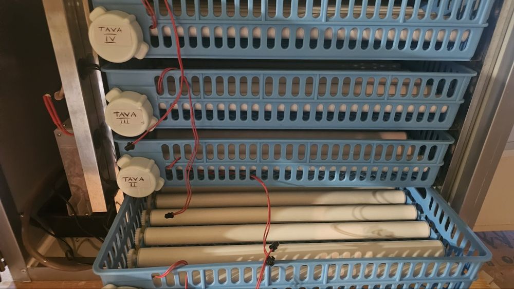 Incubator,clocitoare tehno ms256