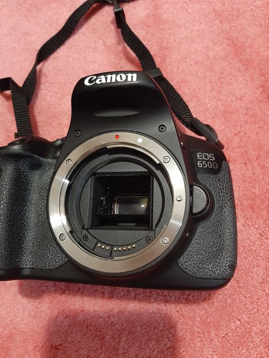 професионален фотоапарат Canon и трите леща