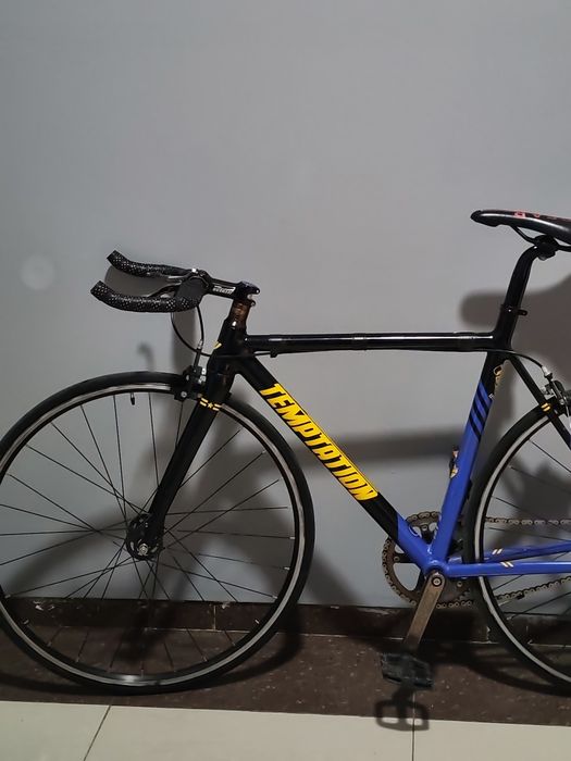 Temptation Fixed Gear
