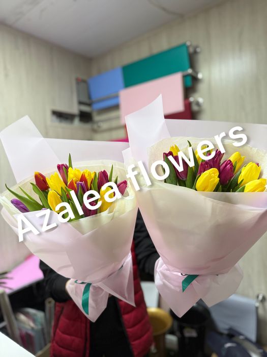 Тюльпаны опт розница цветы розы