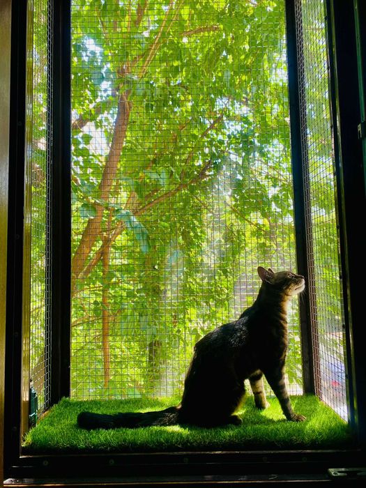 Plase metalice de protectie pentru pisici si insecte/custi/usi/balcon