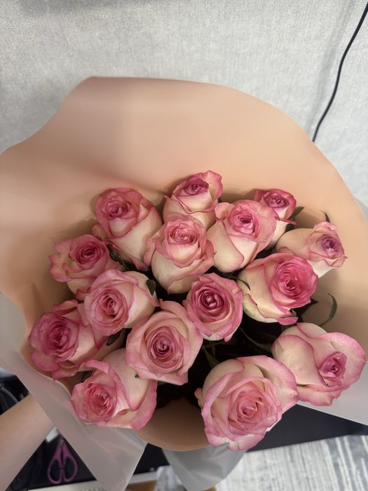 Продам розы 15 штук