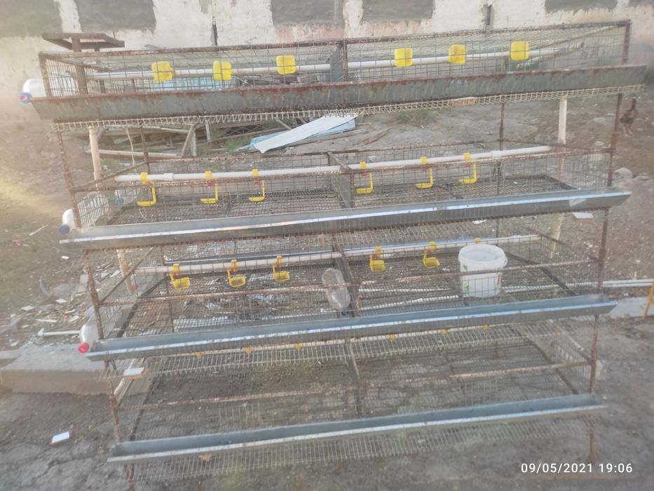 Сетка,бедана ва жужа бокиш учун