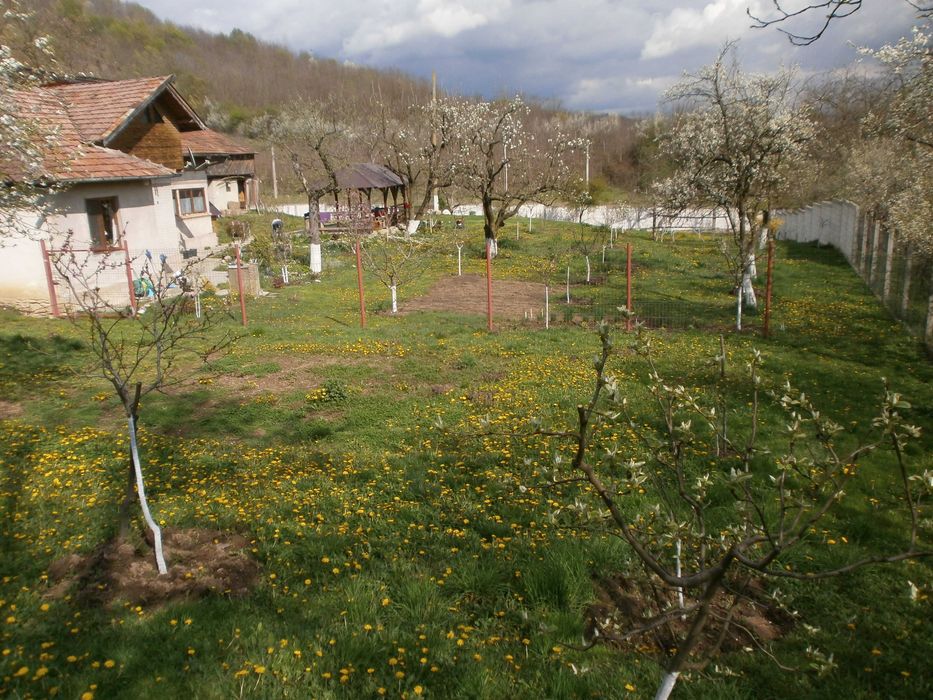 Vand casa cu teren 3000 m2 Bascenii de Sus