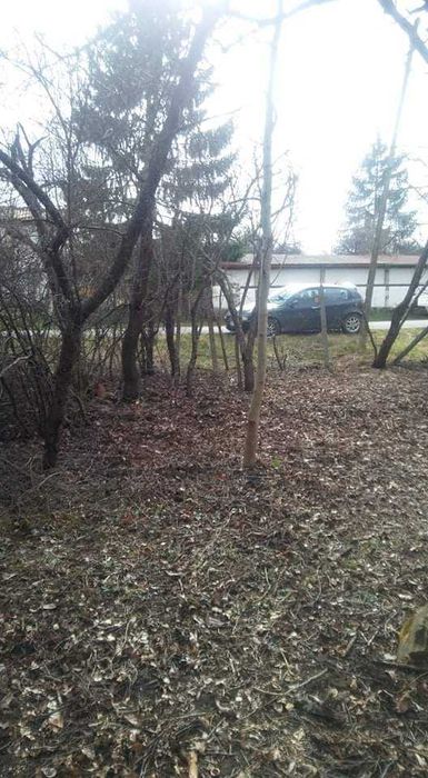 Продава се Парцел в с. Поцърненци, Област Перник - 660 кв.м за 29 €/кв.м - Снимка #11