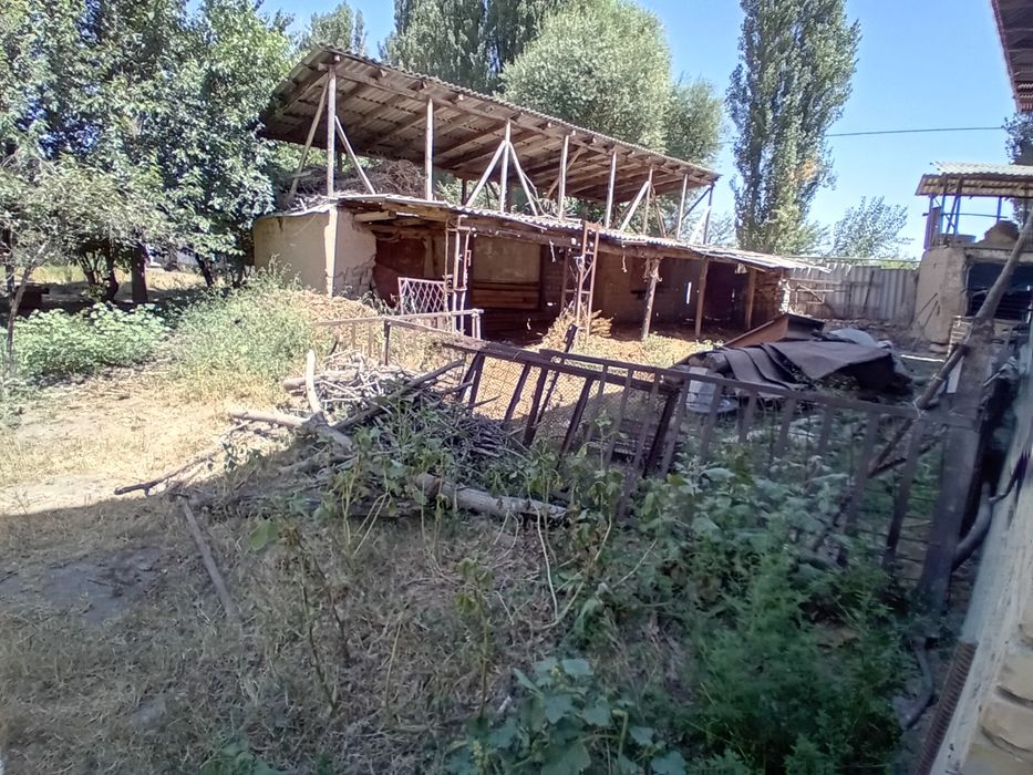 Земля продаётся в таш тогизак