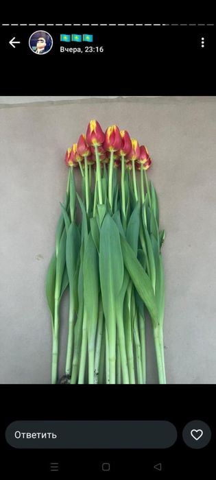 Цветы букеты т ю л ь п а н