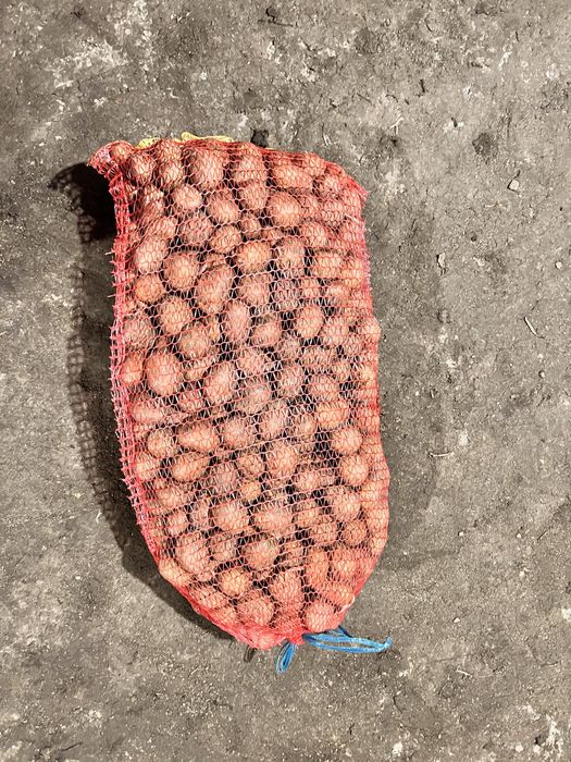 Cartofi consum și sămânța  !