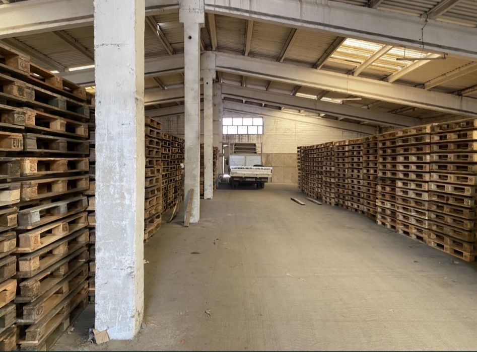 Vând paleti euro, non euro, atipici