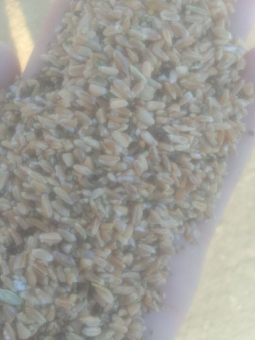 Отходы Зерноотходы Отруби