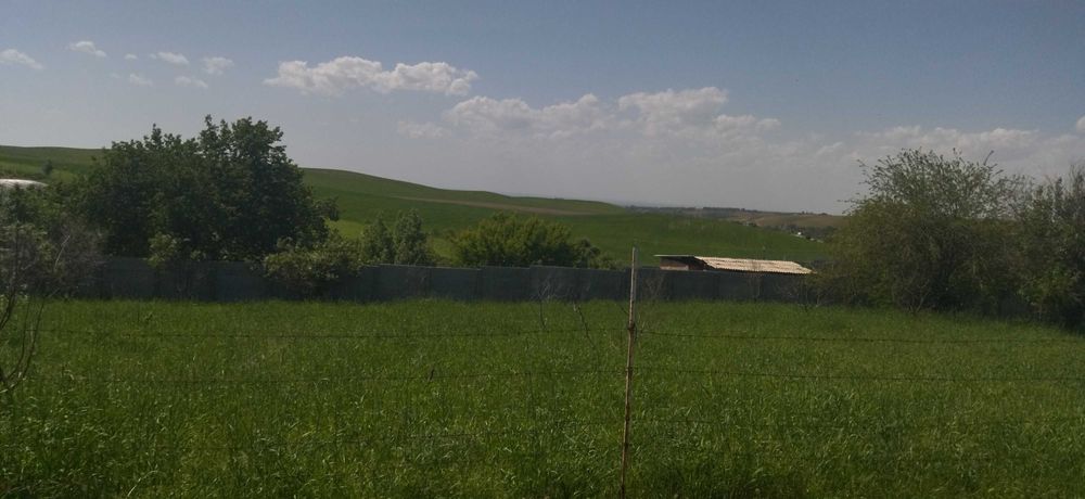 Yer sotiladi Ohangaron tumani(Krasnagorskda)