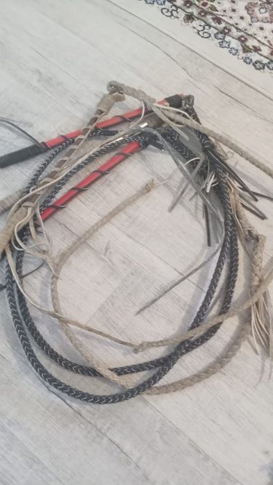 Шыбырткы,  қамшы