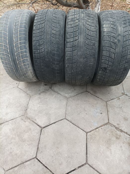 Зимние шины R18 TRIANGLE