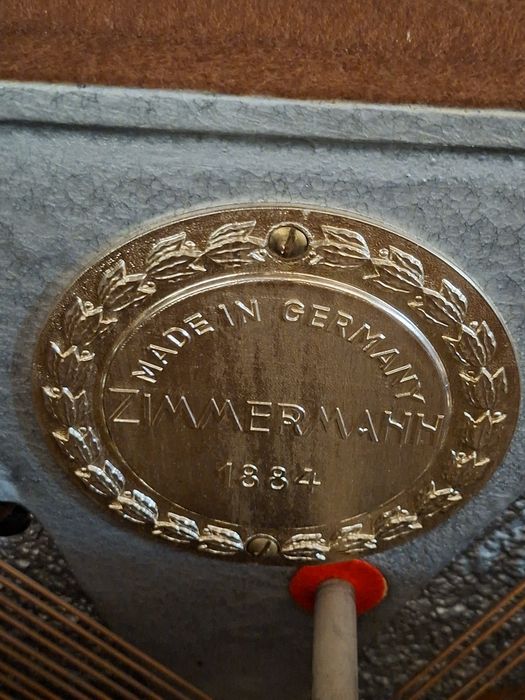Панино немецкое 1884 года.