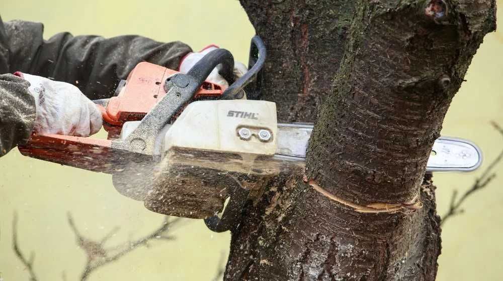 Поддръжка на дворове, рязане на опасни дървета, косене на трева