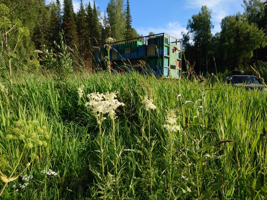 Продам мёд от пчеловода