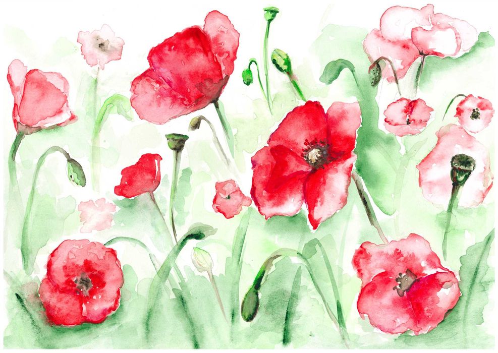 Акварелни картини 21/30см.