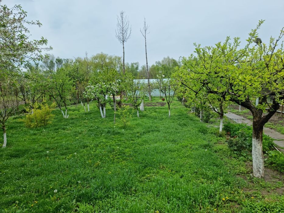 Teren intravilan 9 Mai - Tulcea