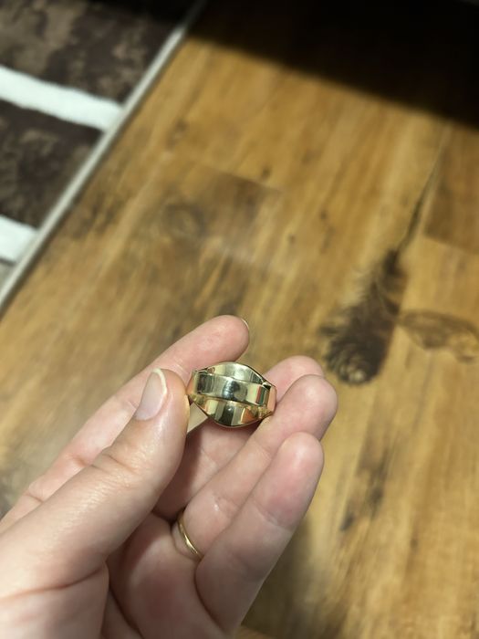 Ghiul aur 10 g marimea 22,2 piatra rubin si aur