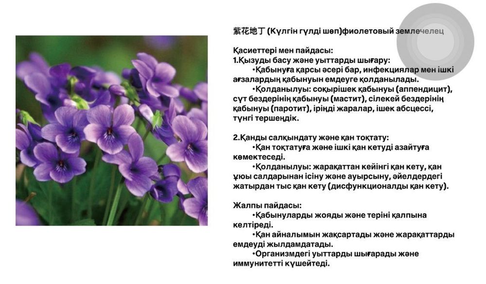 Гель-капсула Asmy