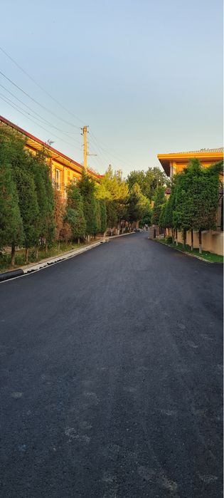 Asphalt | brushchatka