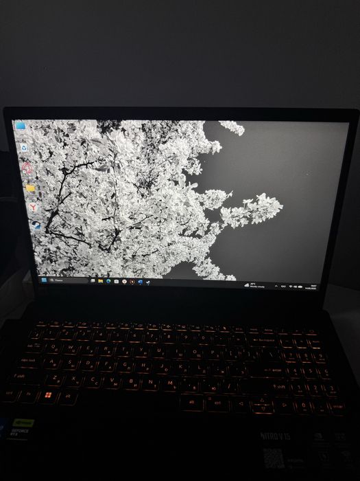 Acer Nitro V15 rtx5050