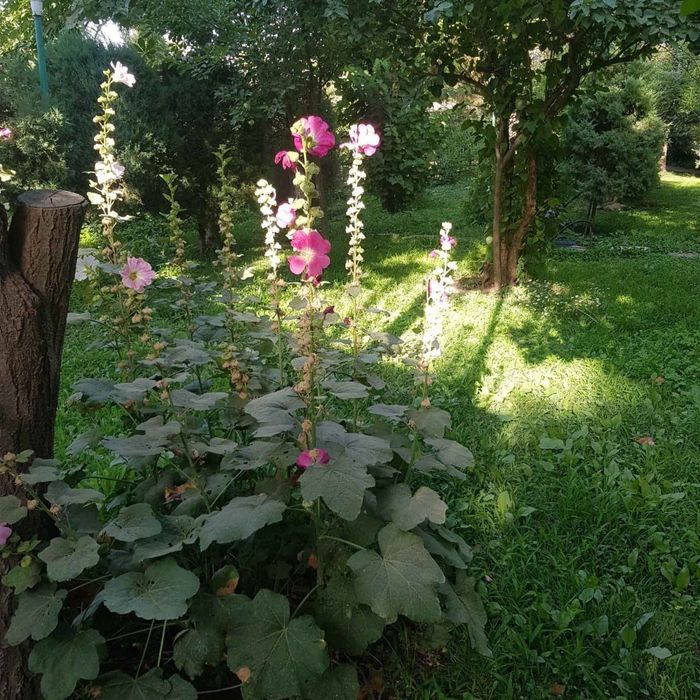 Продаётся участок Чингильды конечка