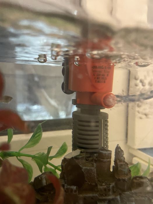 Аквариум для рыбок