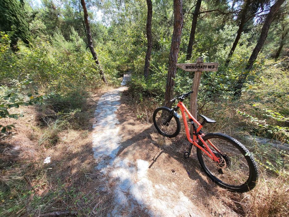 Specialized Stumpjumper Alloy 2021 S3