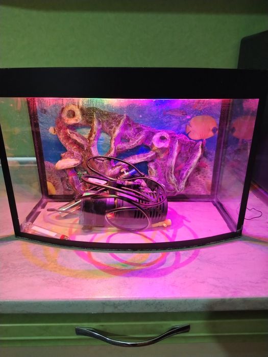 Akvarium 20 litr