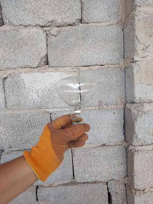 Продам лампочки,