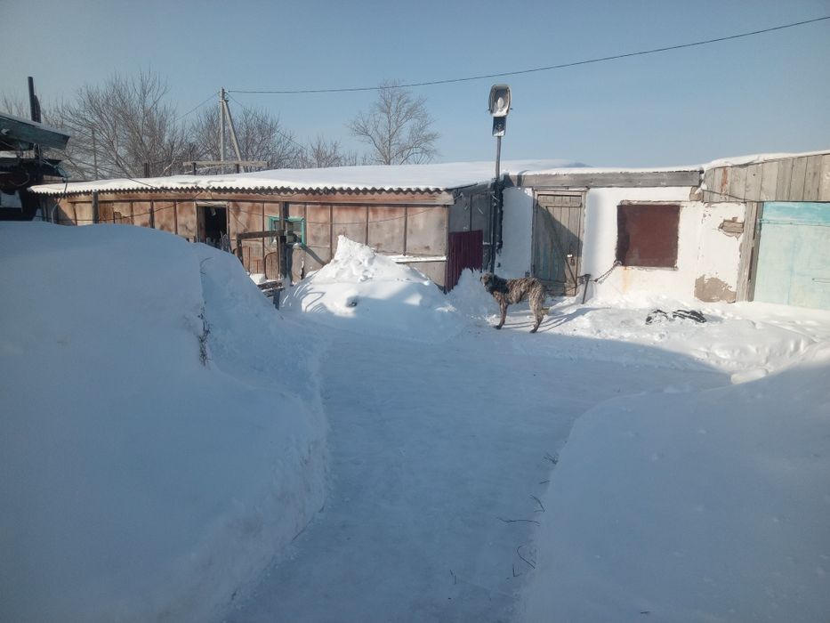 Продам дом поселок жаксы