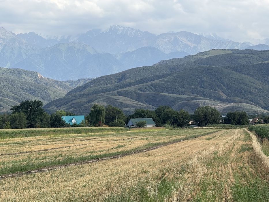 Земельный участок