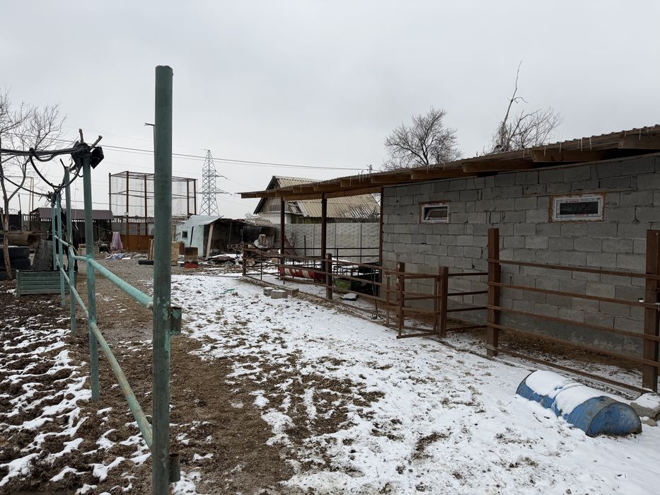 Продам дом с откормом для скота