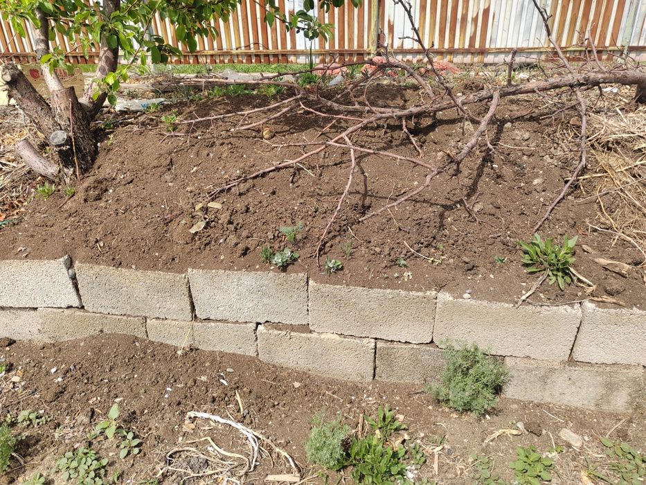 Биогумус 60 тенге