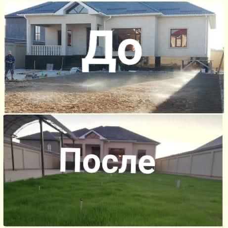 Газон Рулон газон Автополив ручной полив