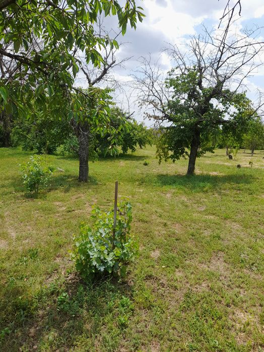 Продава се Парцел в София, Лозенец - 2527 кв.м за 16 €/кв.м - Снимка #10