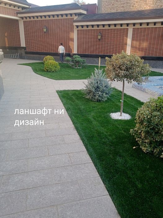 Газон тайор рулонлари Самарканд