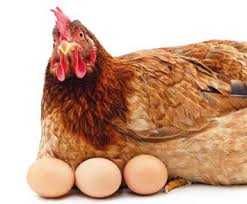 германия витамин Красител премикс товукларга