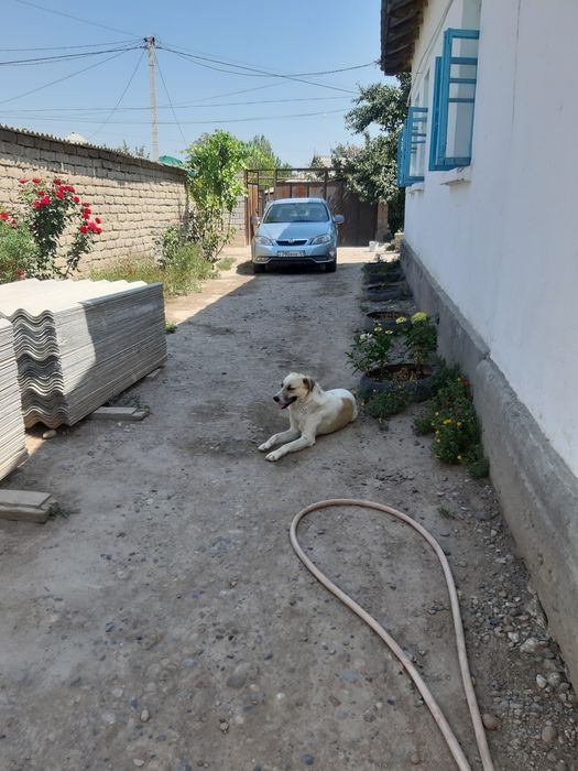 Продется Дом в городе ДУСТАБАД