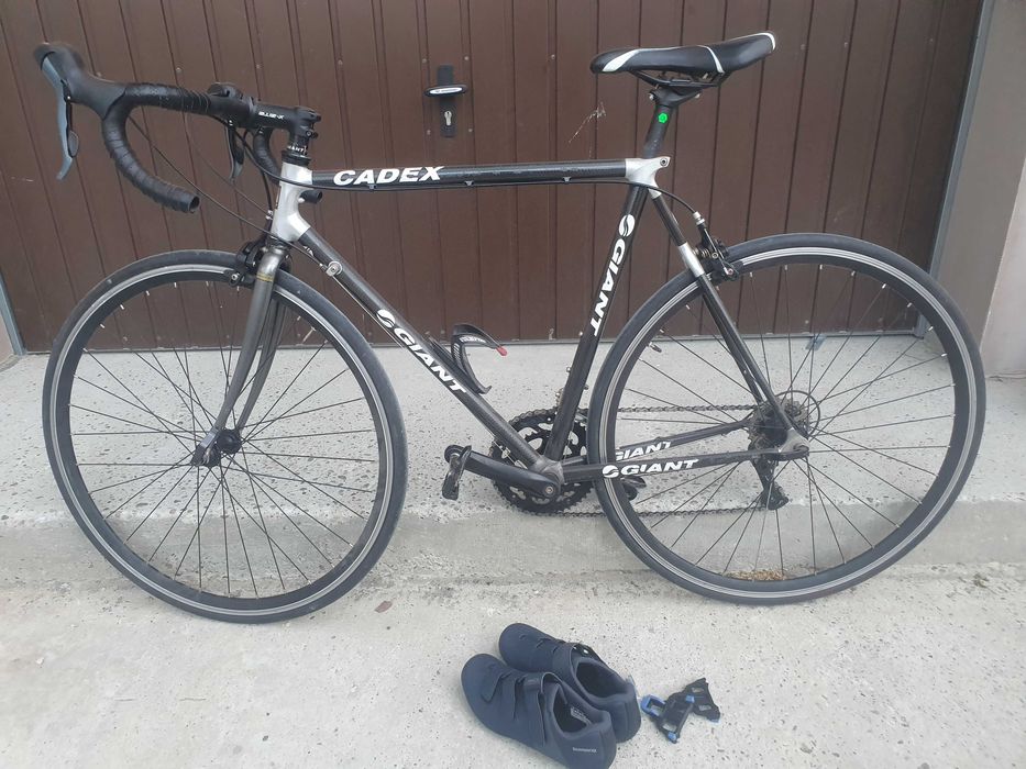 Cursiera carbon 55cm giant cadex