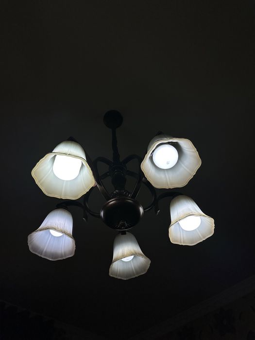 Люстра подвесные