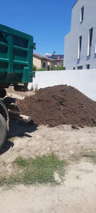 Evacuari moloz amenajari curți