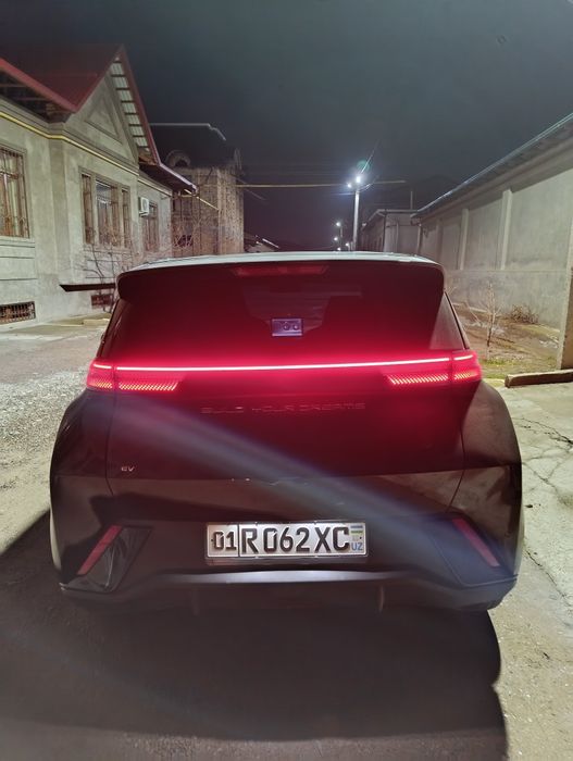 Bvd seagul 2023 qora