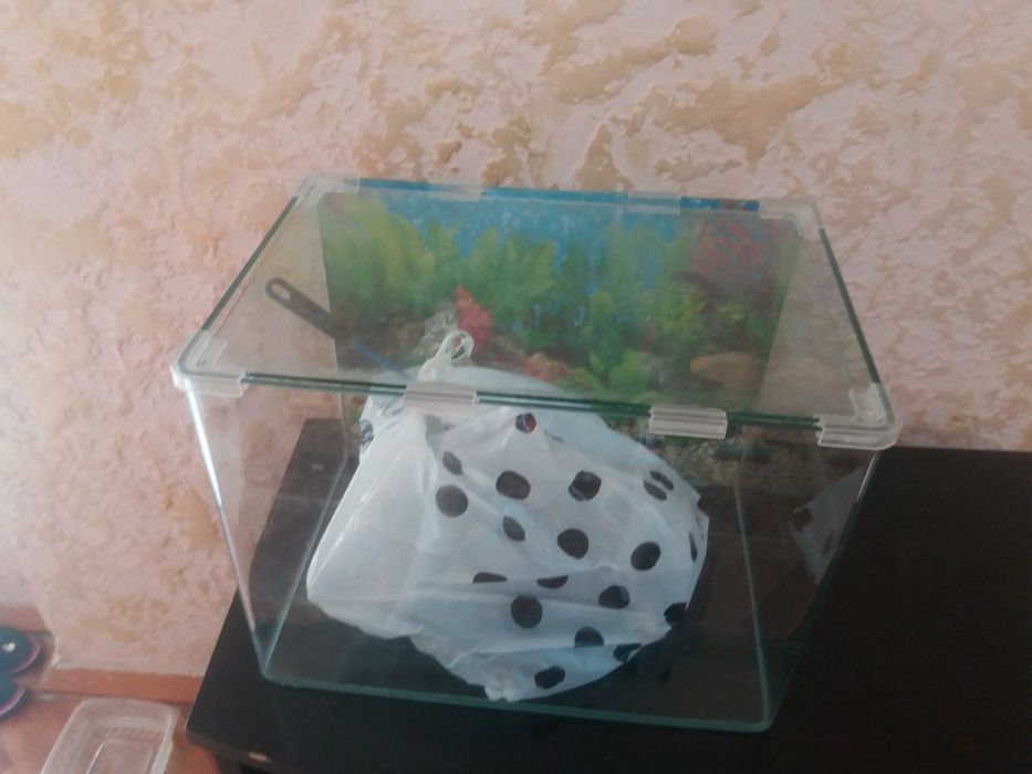 аквариум на заказ шымкент