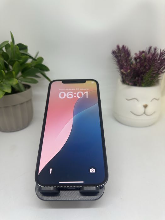 iphone 12 pro | 256 gb | 19834 | pintel munailu