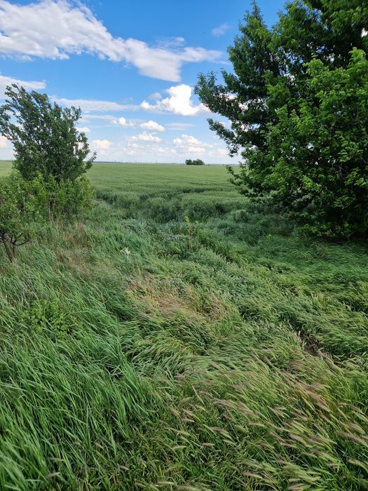 Teren sos Slobozie 1.75ha